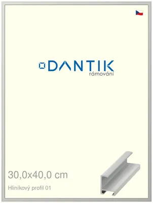 Zdjęcie produktu dla Rama DANTIK 30x40 | Profil ALU 6001 Srebrny mat (Plexi Clear)