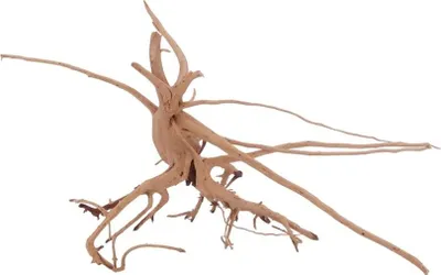 Produktbild von M Siennawurzel Nr.3226 Wurzel Holz Aquarium Deko Aquascaping