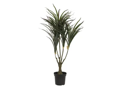 Immagine prodotto di EUROPALMS Dracena artificiale, verde-rosso, 90 cm (82505778)
