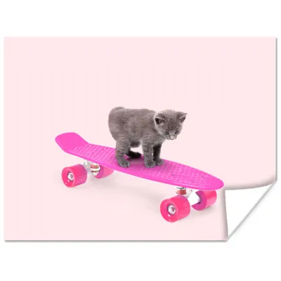 Produktbild von MuchoWow® Poster Katze - Kätzchen - Tiere - Skateboard - Rosa 120x90 cm - Wandbild