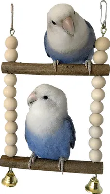 Image de 15cm perchoirs en bois pour oiseaux, plate-forme en bois pour perroquets, jouets debout pour oiseaux, plate-forme de perchoirs pour cage à oiseaux suspendue, supports confortables