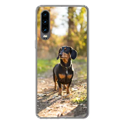 Produktbild von MuchoWow® Handyhülle Schutzhülle Hülle für Huawei P30 Ein schöner Dackel im Wald Silikon Softcase Handy Hülle - Kartenbesitzer