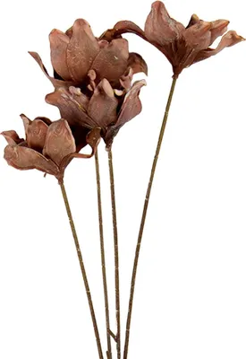 Image de Clayre & Eef Fleur artificielle 8x5x60 cm Marron Plastique