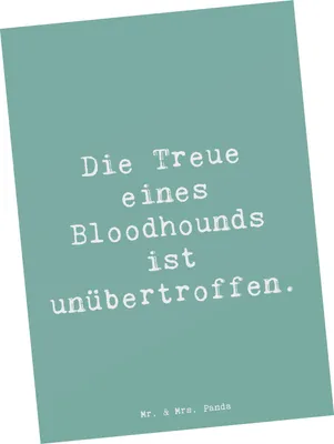 Produktbild von Mr. & Mrs. Panda Grußkarte Spruch Bloodhound Treue - Meeresbrise - Geschenk, Fotokarte, Hunderassen Pflege, treuer Begleiter, Eigenschaften, Vielfalt, Ansichtskarten