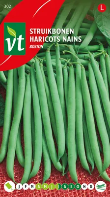 Obrázok produktu pre Semená fazule Ampere – cca 25 g | VT_302