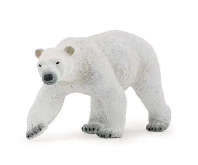 Immagine prodotto di Orso polare