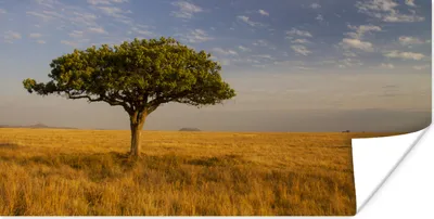 Produktbild von MuchoWow® Poster Die Savanne des Serengeti-Nationalparks in Tansania 120x60 cm - Bild