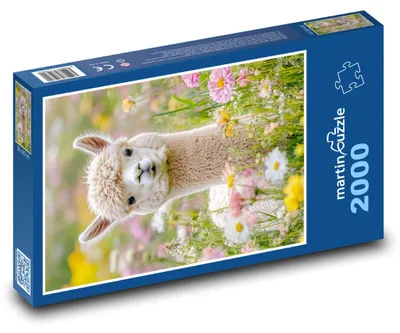 Obrázek produktu pro martinpuzzle - Puzzle 2000 - Alpala na louce