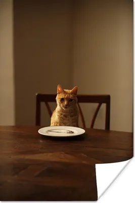 Produktbild von MuchoWow® Poster Katze - Esstisch - Teller 20x30 cm - Papierdruck