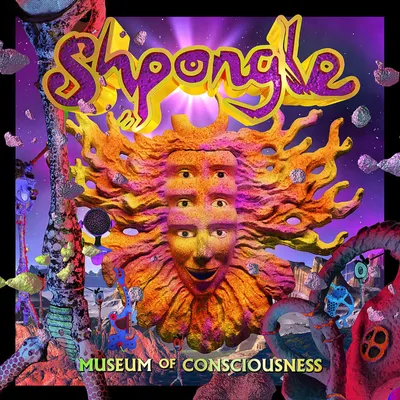 Productafbeelding van Shpongle: Museum Of Consciousness (geremasterde versie) (180g)