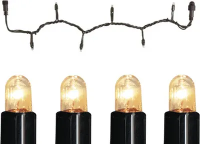 A string of lights and four individual light bulbs.