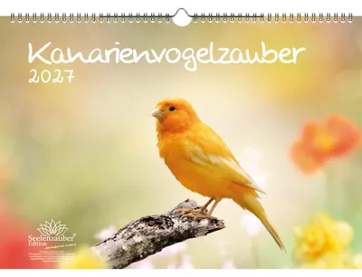 Produktbild von Kanarienvogelzauber DIN A3 Kalender für 2027 Kanarienvögel - Seelenzauber