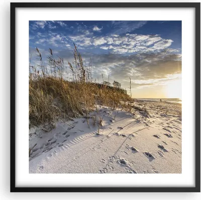 Produktbild von Gerahmtes Poster - Schwarzer Rahmen - Sand Gras Meer - 50x50 cm - Wand Bild - Wanddeko - Wandbilder - Kunstposter - Wandposter - Bilderrahmen - Bilder - Kunstdruck - Wanddekoration - P2BAC50x50-4781