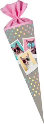 Produktbild von Nestler Schultüte Cool Cats rund mit Filzverschluss 70cm