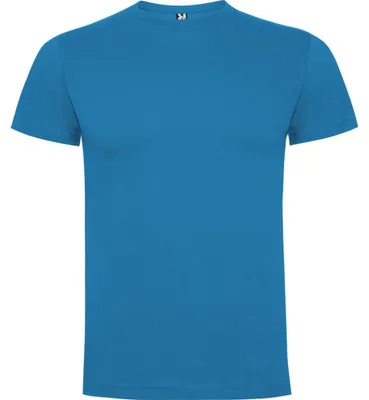 Image de Roly - T-shirt « Dogo » pour enfants LT5236 (146-152) (bleu-vert)
