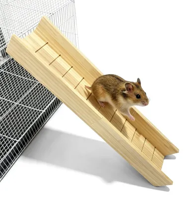 Productafbeelding van Houten Klimhelling voor Cavia's en Hamsters - Natuurlijke kleur