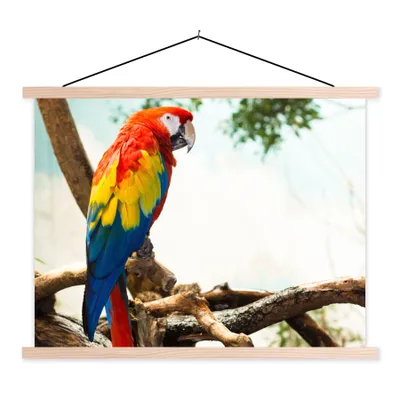 Produktbild von MuchoWow® Textilposter Papagei - Vogel - Regenbogen - Tropisch 40x30 cm mit holzfarbenen Rahmen - Bilder
