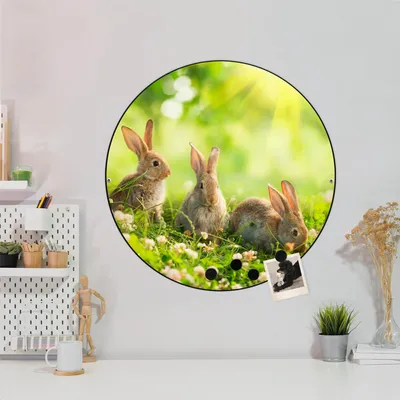 Produktbild von Design Stahlmagnettafel Schwarz Rund 47cm Drei Hasen