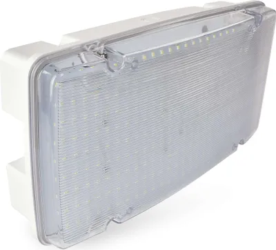LED Nouzové svítidlo NESSI 10W 3h IP66