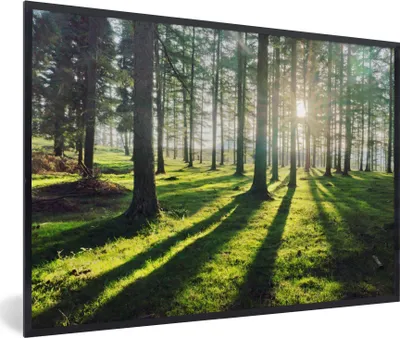 Produktbild von MuchoWow® Gerahmtes Poster Bäume - Natur - Wald 90x60 cm - Poster mit Schwarzem Bilderrahmen Wandposter Rahmen Foto Bilder - Fotorahmen - Foto-Plakat