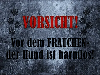 Produktbild von vianmo Holzschild 30x40 cm Vorsicht Frau Hund harmlos