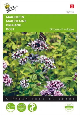 Produktbild von Oregano Dost | Oreganosamen von Buzzy Seeds