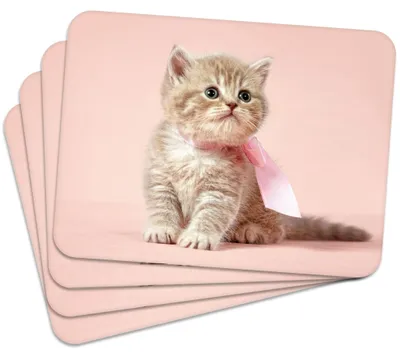 Produktbild von MG Design Set aus 4 Kork-Platzsets - Cat 1 - 30 x 40 cm - hitzebeständig & abwischbar, mit Korkrückseite