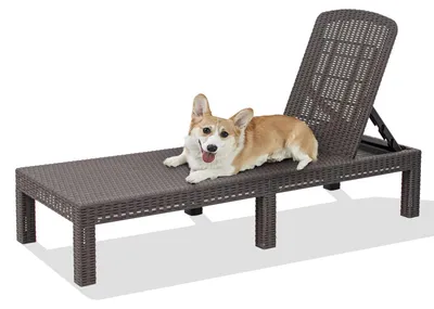 Image de Chaise longue imperméable - Chaise de jardin réglable - Confortable et durable