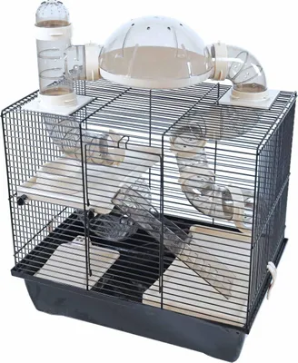 Image de Cage pour hamster Interzoo Rocky plus, noire/noire. Fabricant : Interzoo Gebr. de Boon