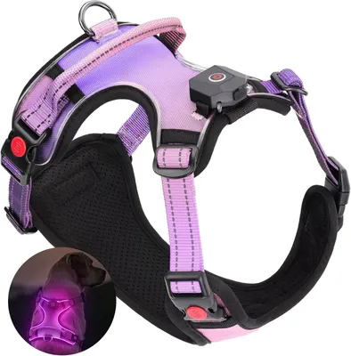 Produktbild von LED Hundegeschirr aufladbar reflektierend, verstellbar mit Griff, Brustgeschirr mit 3 Lichtmodi für kleine und mittelgroße Hunde, Farbe Lila Größe XL