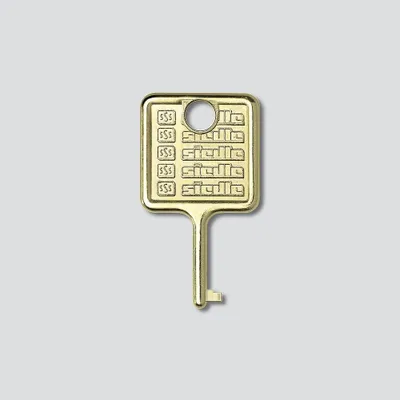 Image de SIEDLE 210007018-00 Clé pour module d'information IM 511- (210007018-00)
