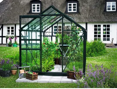 Produktbild von Gewächshaus Halls Popular 106 Sicherheitsglas 3 mm 193 x 319 cm grün