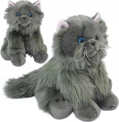 Image de ANEK Chat persan Gery SmillyPl 84404GP 26109
