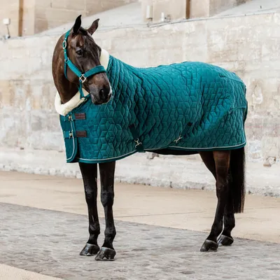 Produktbild von Kentucky Horsewear Turnierdecke 160g Show Rug Velvet Stalldecke Smaragd 145