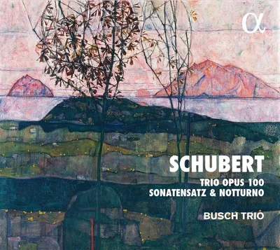 Obrázek produktu pro Franz Schubert (1797-1828): (CD / Název: H-Z)