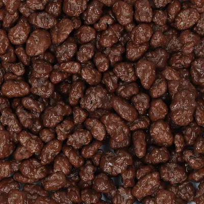 Produktbild von agilus dragees Schoko-Rosinen 300g