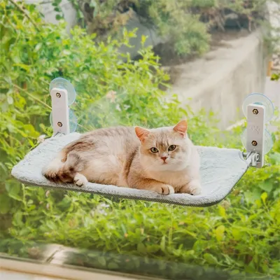 Immagine prodotto di Amaca per gatti da finestra - 54 x 30 cm - Grigio - Portata 18 kg