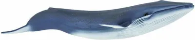 Produktbild von Safari meerestiere Blauwal junior 26,8 cm blau/weiß