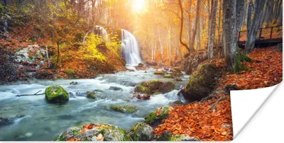 Produktbild von MuchoWow® Poster Natur - Sonne - Herbst 40x20 cm - Poster für die Wand - Poster Schlafzimmer