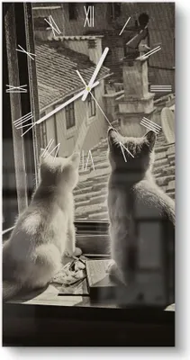 Produktbild von DEQORI Glasuhr 30x60 cm Römisch 'Katzen auf Fensterbrett' Wanduhr Glas Uhr Design leise
