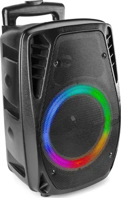 Image de Fenton FT8LED-MK2 Noir 300 W