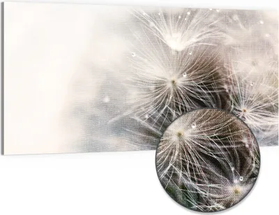 Produktbild von DEQORI Hybrid Leinwand Bild 100x50 cm 'Detailaufnahme Pusteblume' Wandbild Glas flach modern