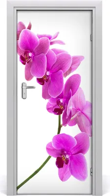 Produktbild von Tulup Türaufkleber 85x205 cm Dekorative Aufkleber Selbstklebend Wasserdichte Tapete Abnehmbar Schlafzimmer Wohnzimmer Wohnkultur - rosa Orchideen
