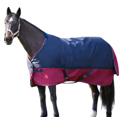 Produktbild von Outdoordecke Equitheme TYREX 1200 D Equi-Theme 50g Füllung wasserdicht 030/147 in 155
