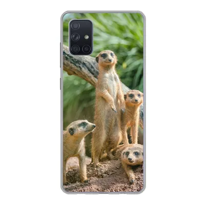 Produktbild von MuchoWow® Handyhülle Schutzhülle Hülle für Samsung Galaxy A71 Familie - Tiere - Erdmännchen Silikon Softcase Handy Hülle - Kartenbesitzer