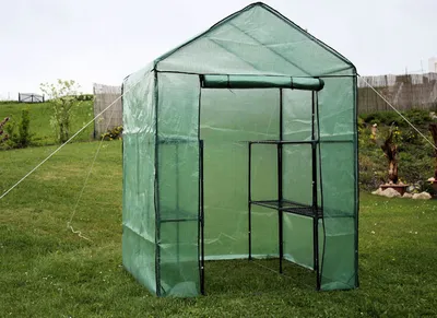 A green greenhouse with shelves inside, set up on a grassy lawn.