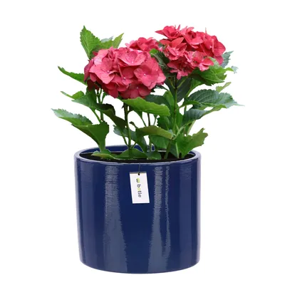 Produktbild von Blumentopf Blumenübertopf Gehäuse Farbe Dunkelblau Rund Ø 13,5cm H 12,5cm Glanz Oberfläche Modern Glamour