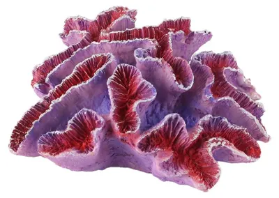 Produktbild von Korallen-Dekoration für Aquariengestaltung