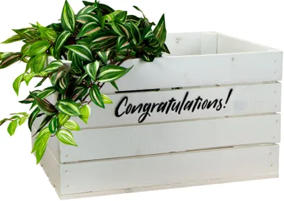 Produktbild von Holzkiste Johanna weiss "Congratulations"