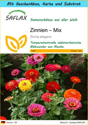 Produktbild von SAFLAX Geschenk Set - Zinnien – Mix - Zinnia elegans - 50 Samen - Mit Geschenkbox, Versandaufkleber, Geschenkkarte und Anzuchtsubstrat